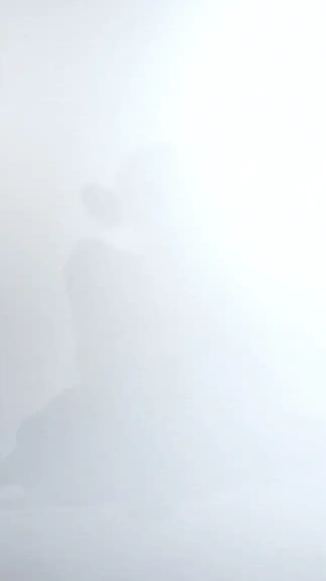 Ilia Thong - Image 7